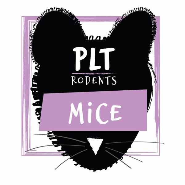 PLT Rodents Frozen Mice Extra Large 30g+ 10 Pack 1 PLT Rodents Frozen Mice Extra Large 30g+ 10 Pack