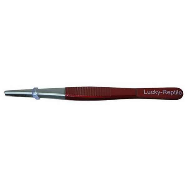 Lucky Reptile Tweezers 14 cm straight PG-14 2 Lucky Reptile Tweezers 14 cm straight PG-14 - Image 2