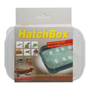 Lucky Reptile Hatchbox Incubation Tray HB-01