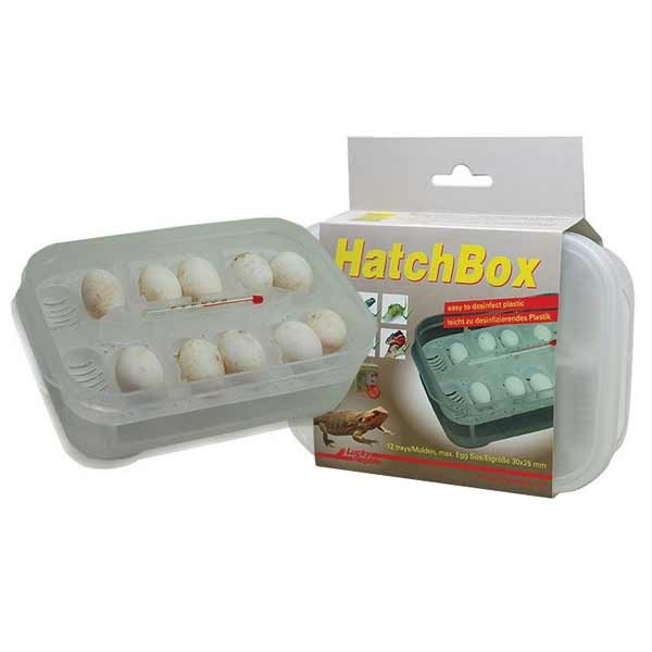 Lucky Reptile Hatchbox Incubation Tray HB-01 2 Lucky Reptile Hatchbox Incubation Tray HB-01 - Image 2