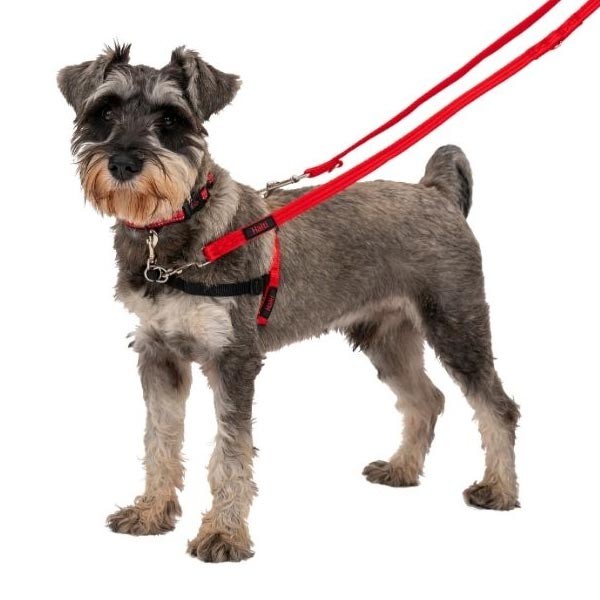Company Of Animals Halti Front Control Harness Large 3 Company Of Animals Halti Front Control Harness Large - Image 3