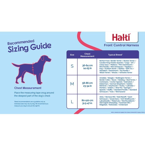 Company Of Animals Halti Front Control Harness Large 5 Company Of Animals Halti Front Control Harness Large - Image 5
