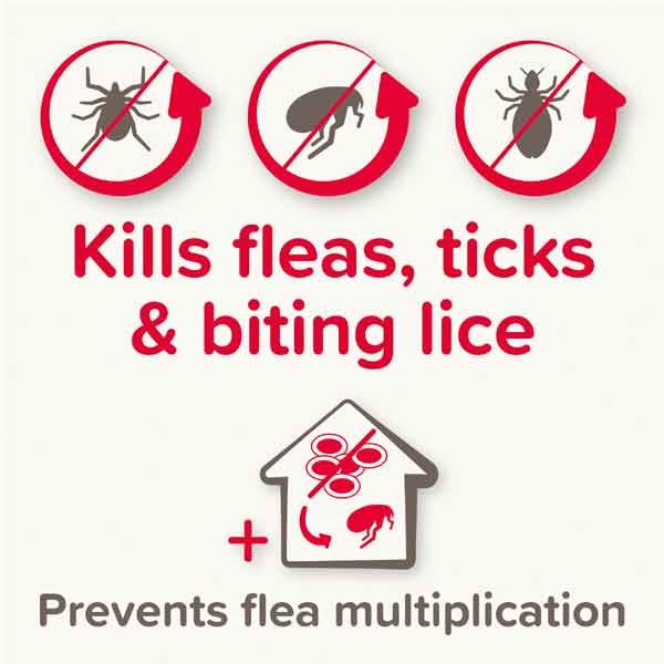 Beaphar FIPROtec Combo Flea & Tick Spot-on for Cats Single 2 Beaphar FIPROtec Combo Flea & Tick Spot-on for Cats Single - Image 2
