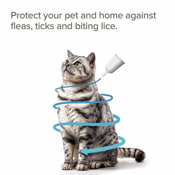 Beaphar FIPROtec Combo Flea & Tick Spot-on for Cats Single 3 Beaphar FIPROtec Combo Flea & Tick Spot-on for Cats Single - Image 3