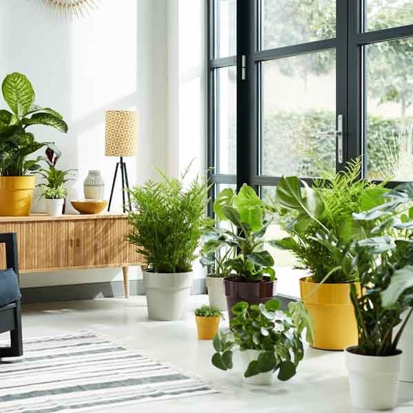 Elho B.for Original Round White Mini 13cm Flower Pot 4 Elho B.for Original Round White Mini 13cm Flower Pot - Image 4