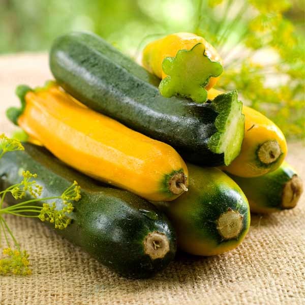 Unwins Courgette Tristar F1 Seeds 2 Unwins Courgette Tristar F1 Seeds - Image 2
