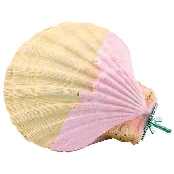Edible Calcium Clam Parrot Perch Large 1 Edible Calcium Clam Parrot Perch Large