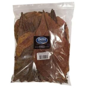 Betta Choice Catappa Leaves Extra Large 25 Pack