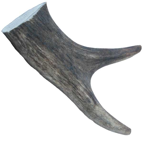 The Wild Antler Co Natural Half Antler Chew Large Dog Treat
