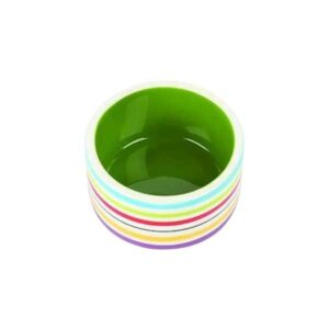 Happy Pet Rainbow Pet Bowl