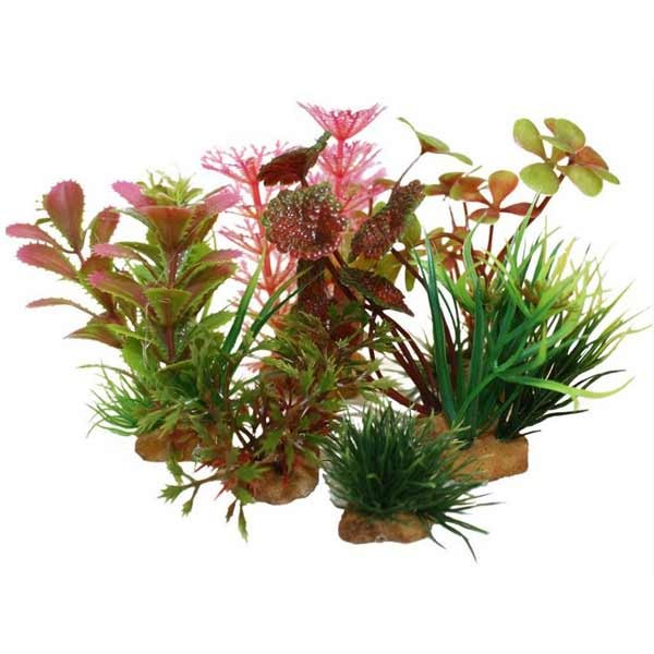 Hugo Kamishi Miniature Aquascaping Aquarium Plant Tub 1 (6 Pack) 1 Hugo Kamishi Miniature Aquascaping Aquarium Plant Tub 1 (6 Pack)