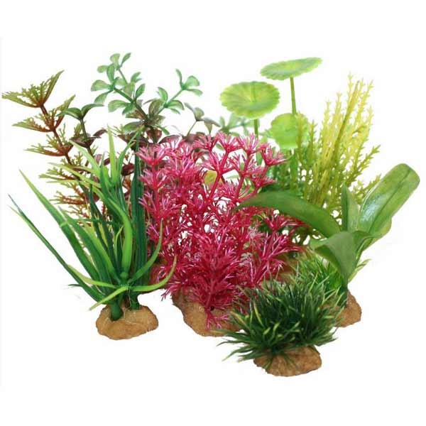 Hugo Kamishi Miniature Aquascaping Aquarium Plant Tub 5 (6 Pack) 1 Hugo Kamishi Miniature Aquascaping Aquarium Plant Tub 5 (6 Pack)