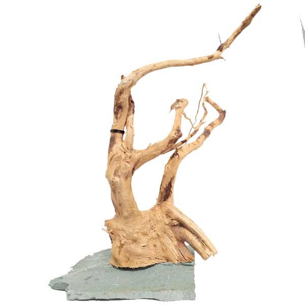 Hugo Kamishi Wood Root & Slate Rock 20-30cm 1 Hugo Kamishi Wood Root & Slate Rock 20-30cm
