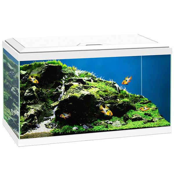Ciano 60 White Aquarium LED 1 Ciano 60 White Aquarium LED
