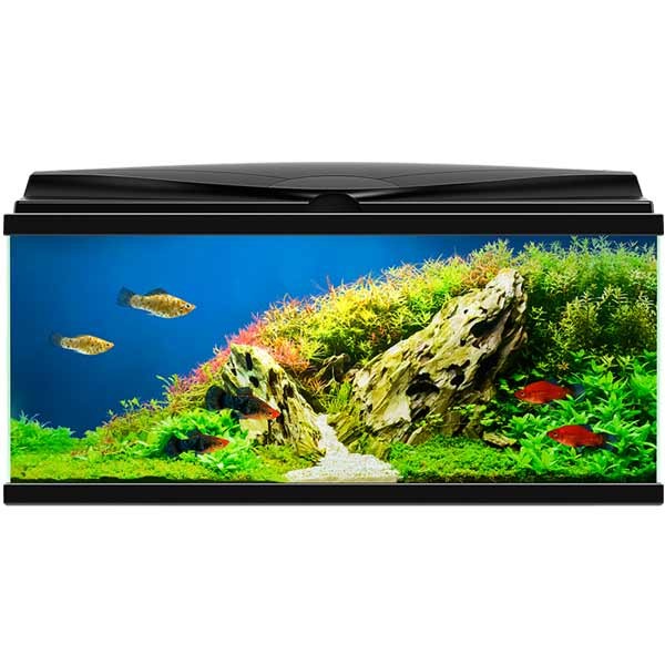 Ciano 85 Black Aquarium LED 2 Ciano 85 Black Aquarium LED - Image 2