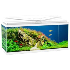 Ciano 85 White Aquarium LED