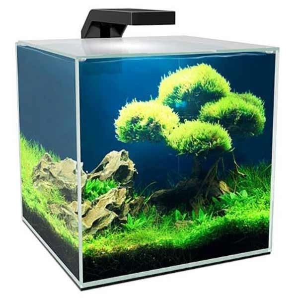 Ciano Cube 15 Aquarium 2 Ciano Cube 15 Aquarium - Image 2