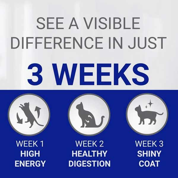 Purina One Mixed Selection Adult 40x85g Wet Cat Food 3 Purina One Mixed Selection Adult 40x85g Wet Cat Food - Image 3