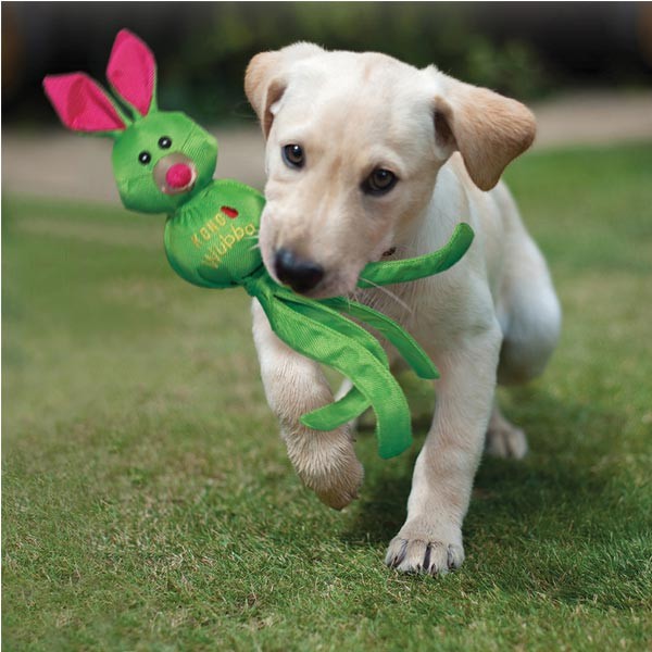 KONG Wubba Friends Ballistic Extra Large Dog Toy 2 KONG Wubba Friends Ballistic Extra Large Dog Toy - Image 2