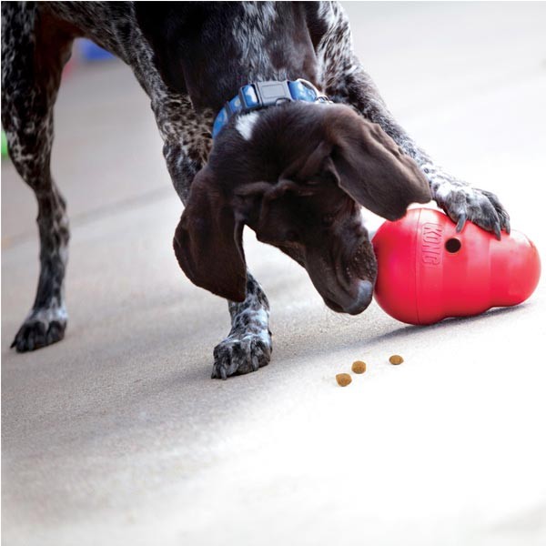 KONG Wobbler Small Dog Toy 3 KONG Wobbler Small Dog Toy - Image 3