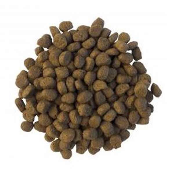 Mr Johnsons Wildlife Hedgehog Food 750g 2 Mr Johnsons Wildlife Hedgehog Food 750g - Image 2