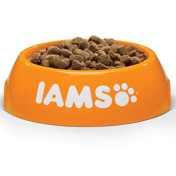 IAMS For Vitality Chicken Kitten 2kg Dry Cat Food 2 IAMS For Vitality Chicken Kitten 2kg Dry Cat Food - Image 2