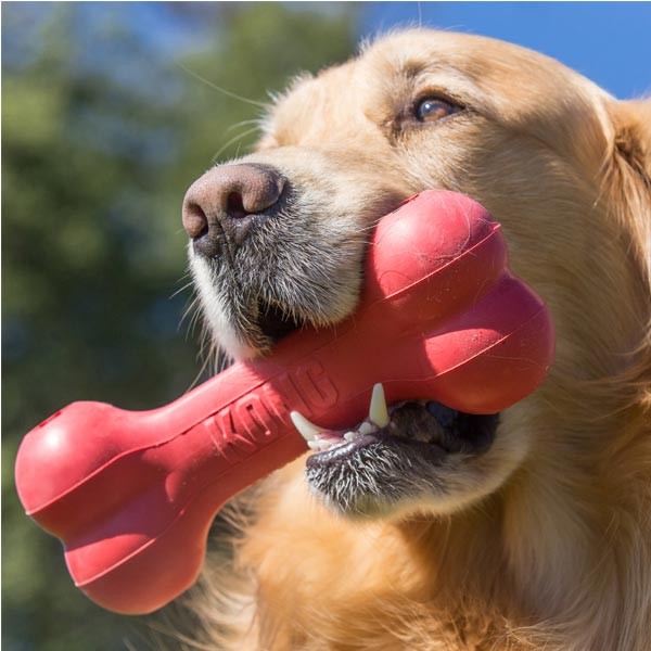 KONG Goodie Bone Small Dog Toy 2 KONG Goodie Bone Small Dog Toy - Image 2