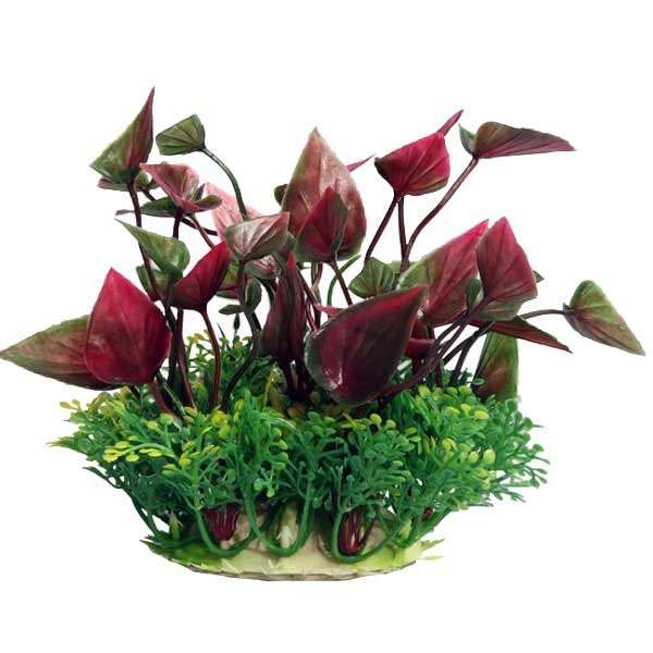 Aqua One Ecoscape Small Lily Red 10cm 1 Aqua One Ecoscape Small Lily Red 10cm