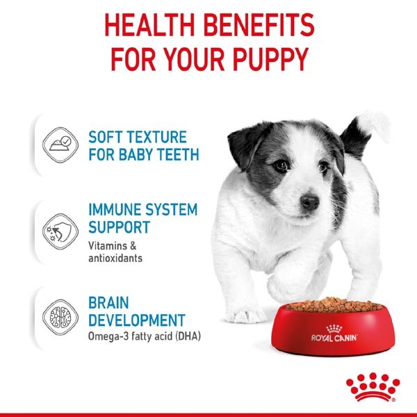 Royal Canin Mini Puppy 85g Wet Dog Food 2 Royal Canin Mini Puppy 85g Wet Dog Food - Image 2