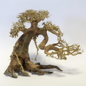 Betta Bonsai Wood Piece 30x23x17cm