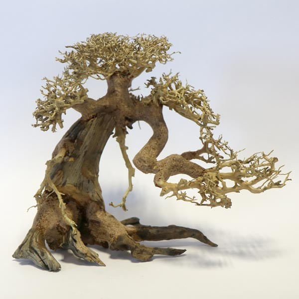 Betta Bonsai Wood Piece 30x23x17cm 1 Betta Bonsai Wood Piece 30x23x17cm