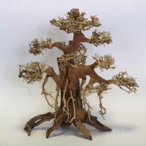 Betta Banyan Bonsai Wood Piece 30x30x15cm