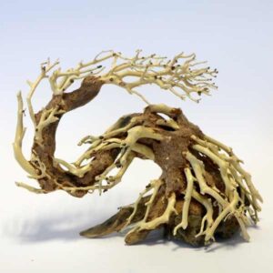 Betta Dragon-Like Tree Piece 22x15x10cm