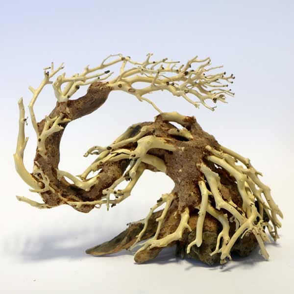 Betta Dragon-Like Tree Piece 22x15x10cm 1 Betta Dragon-Like Tree Piece 22x15x10cm