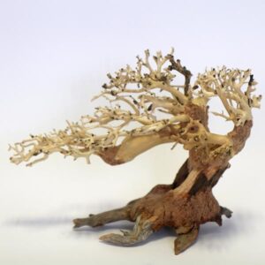 Betta Romantic Bonsai Wood Piece 23x17x10cm