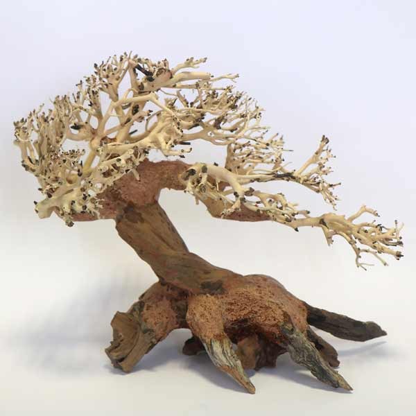 Betta Romantic Bonsai Wood Piece 30x23x13cm 1 Betta Romantic Bonsai Wood Piece 30x23x13cm