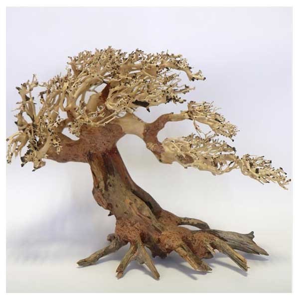 Betta Romantic Bonsai Wood Piece 30x40x15cm 1 Betta Romantic Bonsai Wood Piece 30x40x15cm