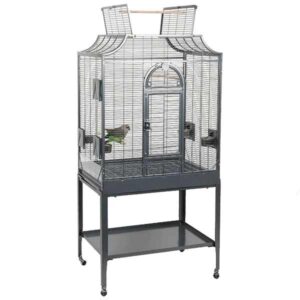 Rainforest Cages Amazona II Antique Bird Cage