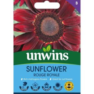 Unwins Sunflower Rouge Royale Seeds
