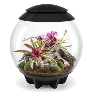 biOrb Air 60 Black