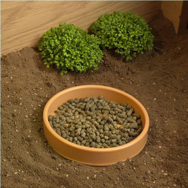 HabiStat Tortoise Table Accessory Kit 5 HabiStat Tortoise Table Accessory Kit - Image 5