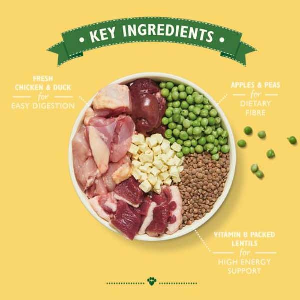 Lily's Kitchen Countryside Casserol with Chicken & Duck Adult 2.5kg Dry Dog Food 2 Lily's Kitchen Countryside Casserol with Chicken & Duck Adult 2.5kg Dry Dog Food - Image 2