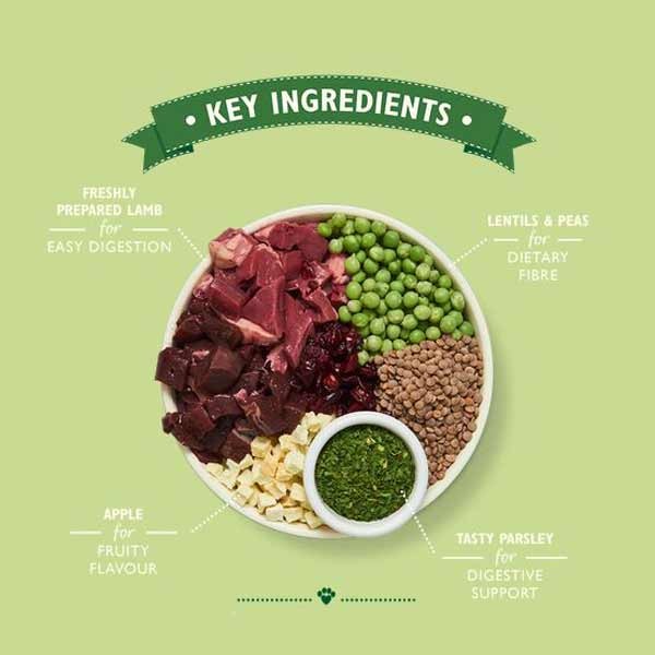 Lily's Kitchen Shepherds Pie with Lamb Adult 2.5kg Dry Dog Food 2 Lily's Kitchen Shepherds Pie with Lamb Adult 2.5kg Dry Dog Food - Image 2