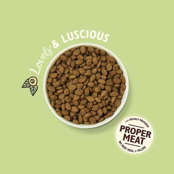 Lily's Kitchen Shepherds Pie with Lamb Adult 2.5kg Dry Dog Food 3 Lily's Kitchen Shepherds Pie with Lamb Adult 2.5kg Dry Dog Food - Image 3