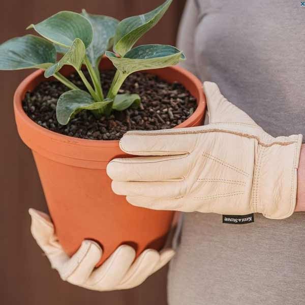Kent & Stowe Luxury Leather Water Resista nt Gloves - Ladies Small 2 Kent & Stowe Luxury Leather Water Resista nt Gloves - Ladies Small - Image 2