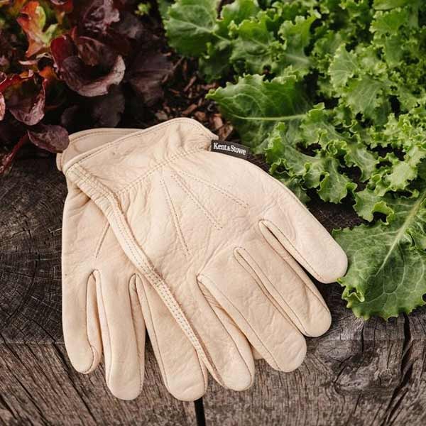 Kent & Stowe Luxury Leather Water Resista nt Gloves - Ladies Small 5 Kent & Stowe Luxury Leather Water Resista nt Gloves - Ladies Small - Image 5