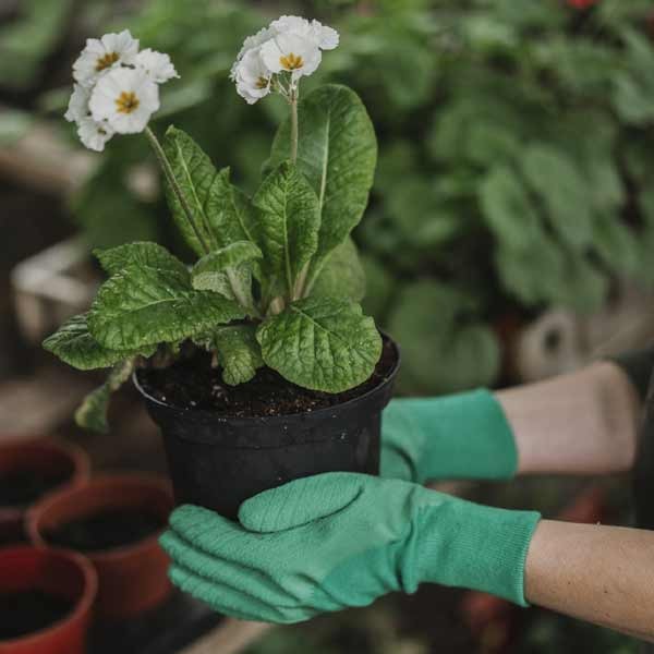 Kent & Stowe Premium Seed & Weed Gloves - Ladies Medium 7 Kent & Stowe Premium Seed & Weed Gloves - Ladies Medium - Image 7