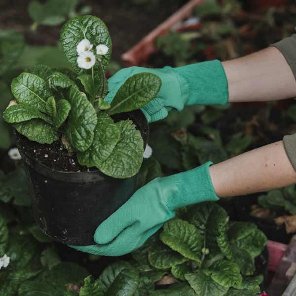 Kent & Stowe Premium Seed & Weed Gloves - Ladies Medium 8 Kent & Stowe Premium Seed & Weed Gloves - Ladies Medium - Image 8