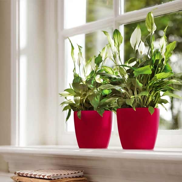 Elho Brussels Diamond Round Lovely Red 14cm Flower Pot 3 Elho Brussels Diamond Round Lovely Red 14cm Flower Pot - Image 3