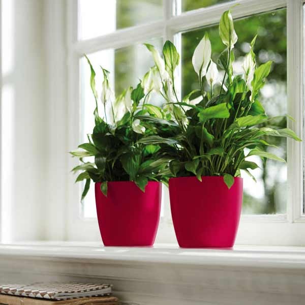 Elho Brussels Diamond Round Lovely Red 14cm Flower Pot 4 Elho Brussels Diamond Round Lovely Red 14cm Flower Pot - Image 4